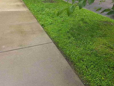 Lawn care service in Chicago, 60618