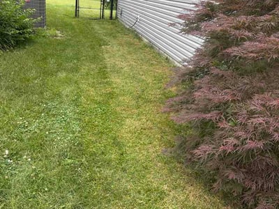 Lawn care service in Indianapolis, 46217