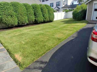 Lawn care service in Rutherford, 07070