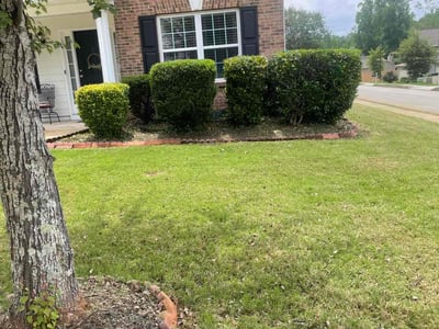 Lawn care service in Villa Rica, 30180