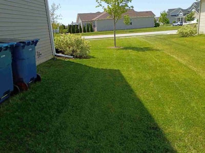 Lawn care service in Cedar Lake, 46303