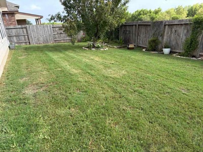 Lawn care service in Cibolo, 78108