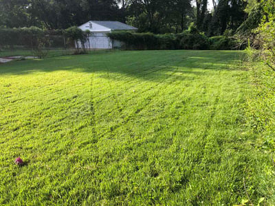 Lawn care service in Ferguson, 63135