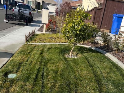 Lawn care service in Folsom, 95630