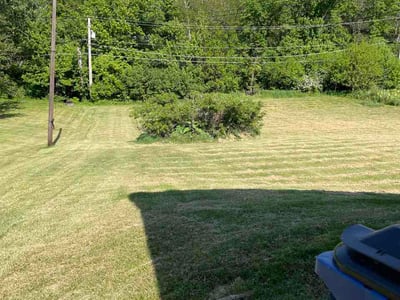 Lawn care service in Olympia Fields, 60461