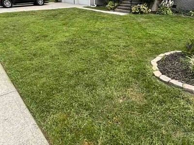 Lawn care service in Chesapeake, 23320