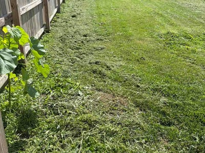 Lawn care service in Mansfield, 44902