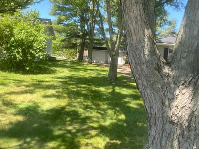 Lawn care service in Strongsville, 44149