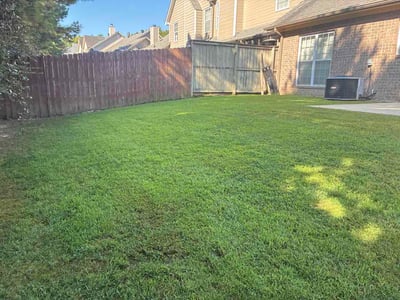 Lawn care service in Birmingham, 35242