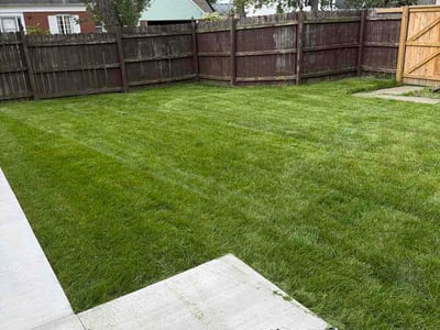Lawn care service in Buffalo, 14223