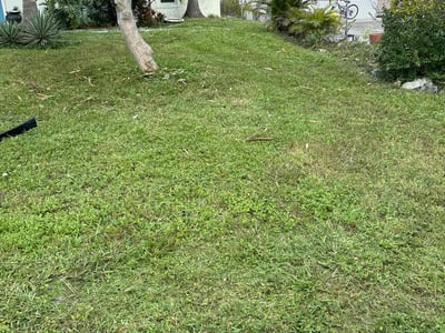 Lawn care service in Boca Raton, 33487