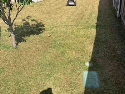 Lawn care service in Georgetown, 78628