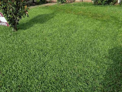 Lawn care service in New Orleans, 70127