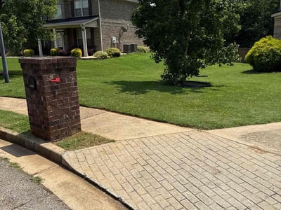 Lawn care service in McDonough, 30252