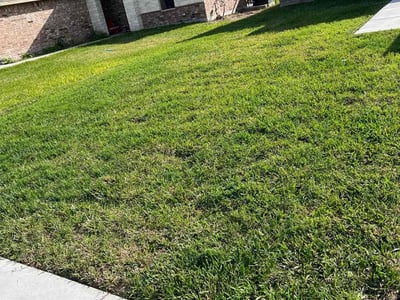 Lawn care service in McAllen, 78504