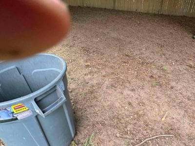 Lawn care service in Acton, 01720