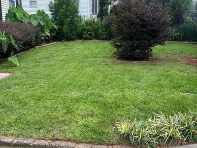 Lawn care service in Atlanta, 30337