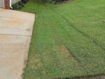 Lawn care service in Spartanburg, 29301