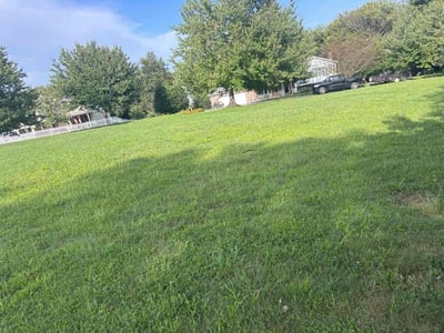 Lawn care service in Mount Airy, 21771