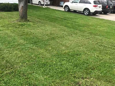 Lawn care service in Portage, 49002