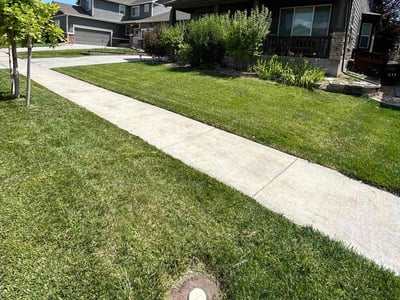 Lawn care service in Commerce City, 80022