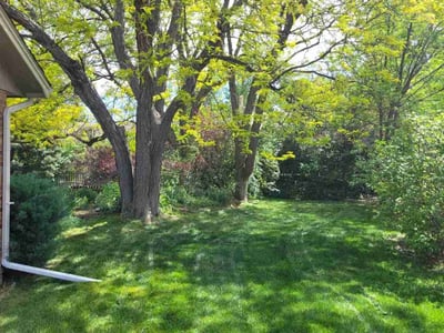 Lawn care service in Longmont, 80501