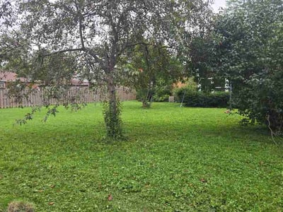 Lawn care service in Kenosha, 53140