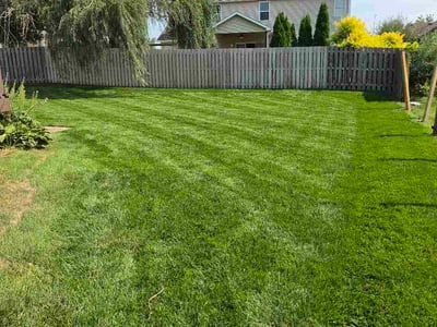 Lawn care service in Omaha, 68116