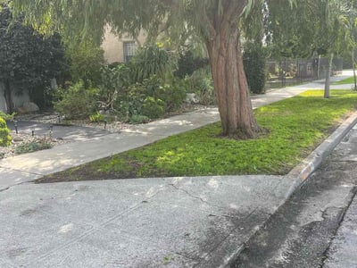 Lawn care service in Los Angeles, 90016