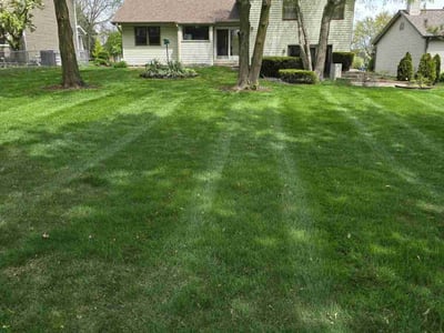Lawn care service in Schaumburg, 60193