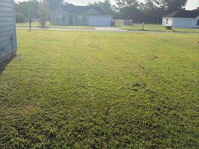 Lawn care service in Ray City, 31645