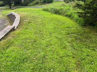 Lawn care service in East Granby, 06026