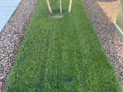 Lawn care service in Colorado Springs, 80925