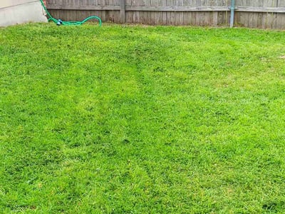 Lawn care service in Austin, 78745