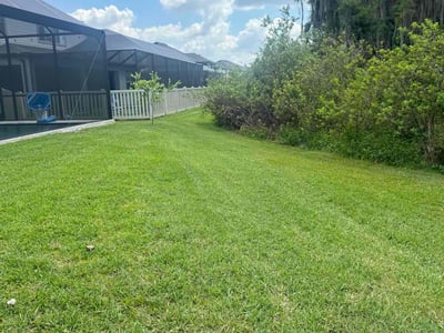 Lawn care service in Tampa, 33647