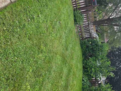 Lawn care service in Hammond, 46327