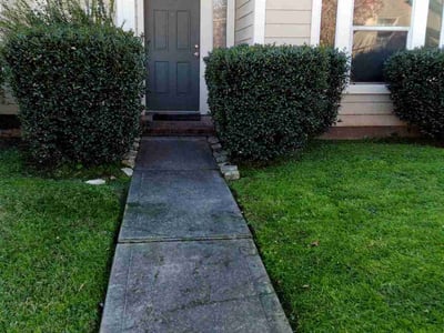 Lawn care service in Houston, 77040