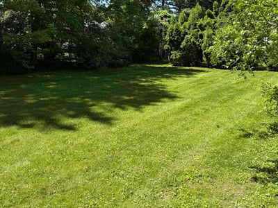 Lawn care service in Hamburg, 14075