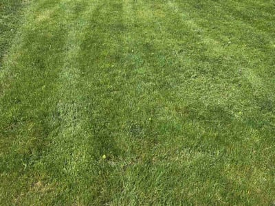 Lawn care service in Channahon, 60410