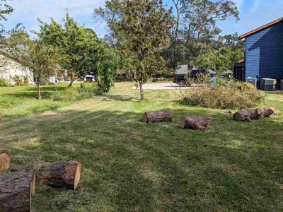 Lawn care service in Lutz, 33559