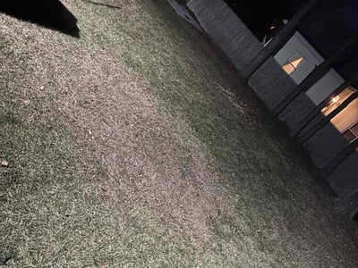 Lawn care service in Attleboro, 02703