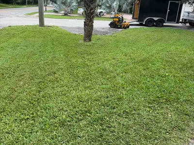 Lawn care service in Tampa, 33617