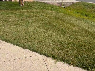 Lawn care service in Appleton, 54915