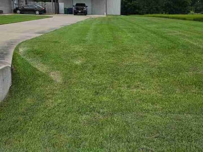 Lawn care service in Angleton, 77515