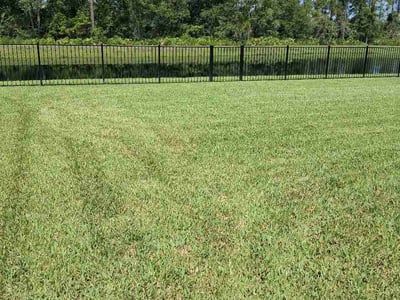 Lawn care service in Saint Johns, 32259