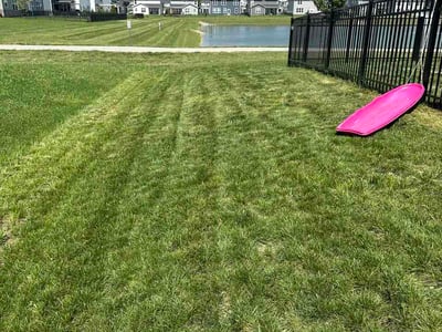Lawn care service in Whitestown, 46075