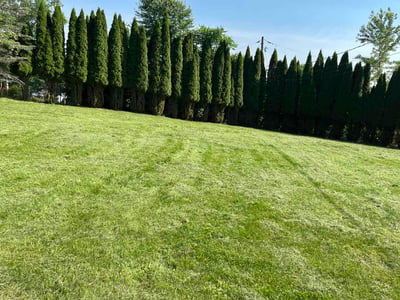 Lawn care service in Stroudsburg, 18360