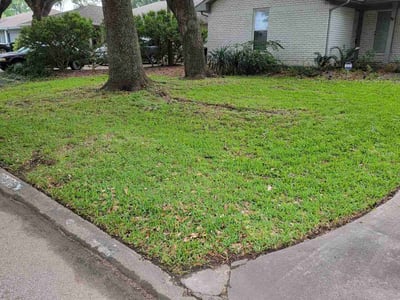 Lawn care service in Houston, 77035