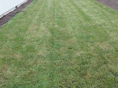 Lawn care service in Bellevue, 98008