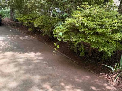 Lawn care service in Marietta, 30064